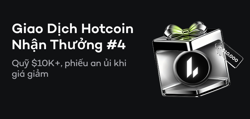 web banner VI.png