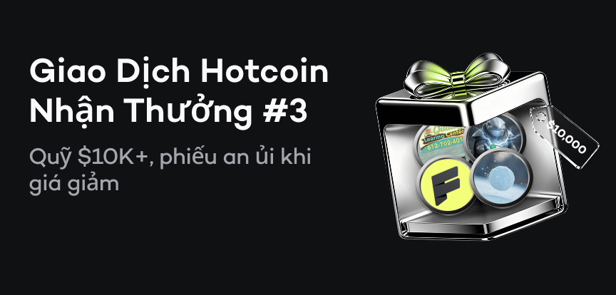 web banner VI.png