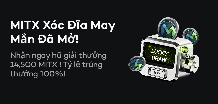 web banner VI.png