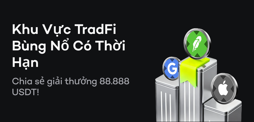 web banner VI.png
