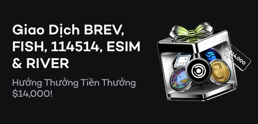web banner VI.png