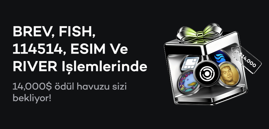 web banner TR.png