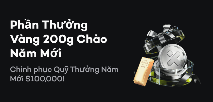 web banner VI.png
