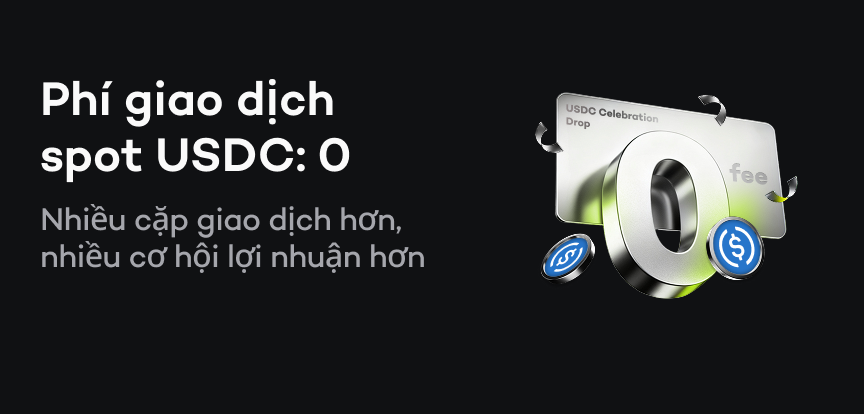 web banner VI.png