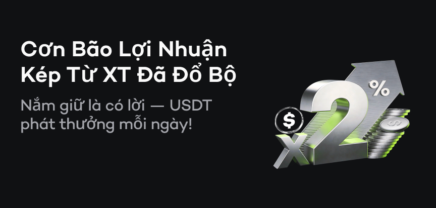 web banner VI.png