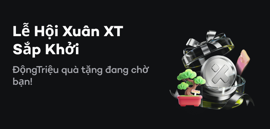 web banner VI.png