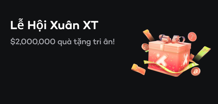 web banner VI.png