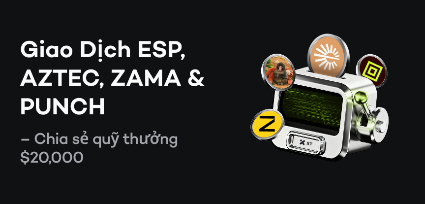 web banner VI.png