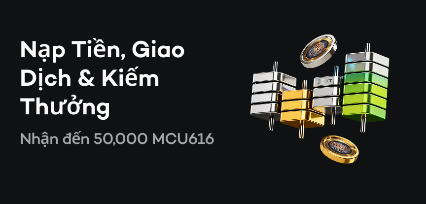 web banner VI.png