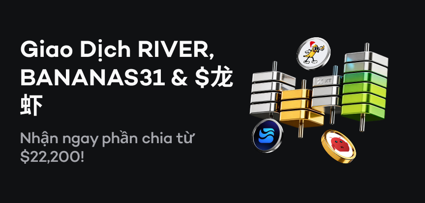 web banner VI.png