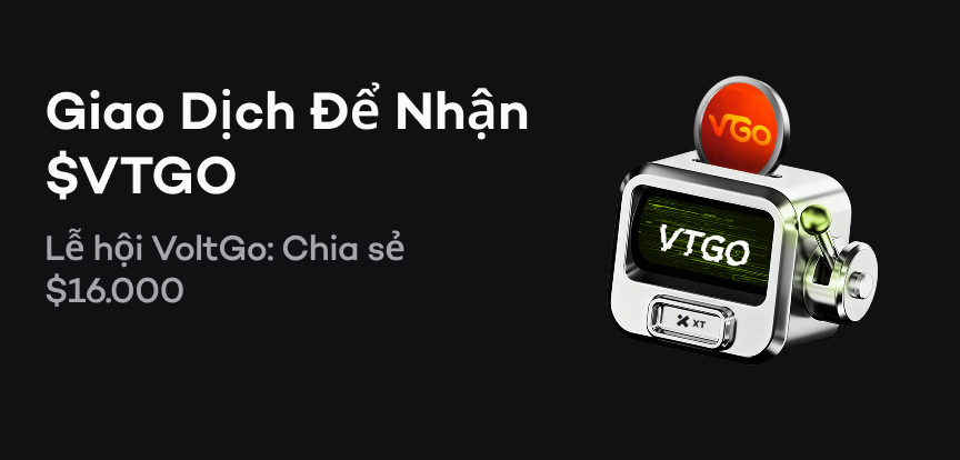 web banner VI.png