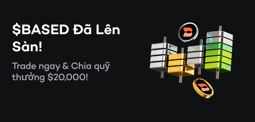 web banner VI.png