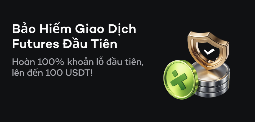 web banner VI.png