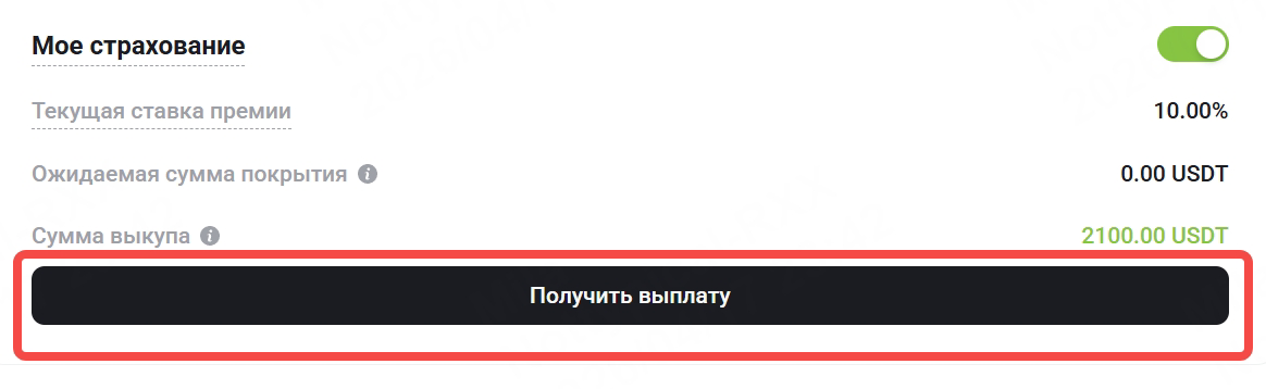 13.png