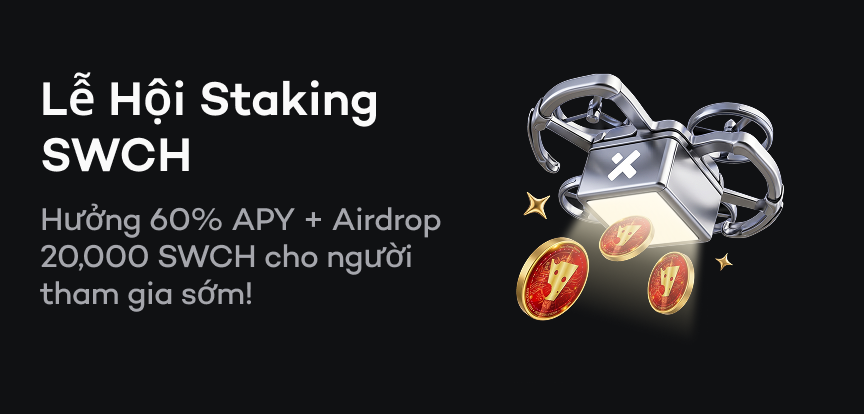 web banner VI.png