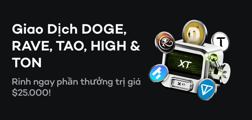 web banner VI.png