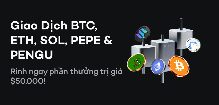 web banner VI.png
