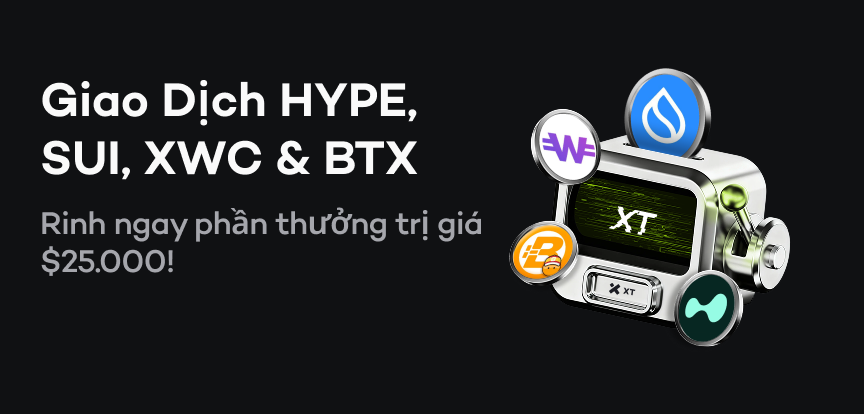 web banner VI.png
