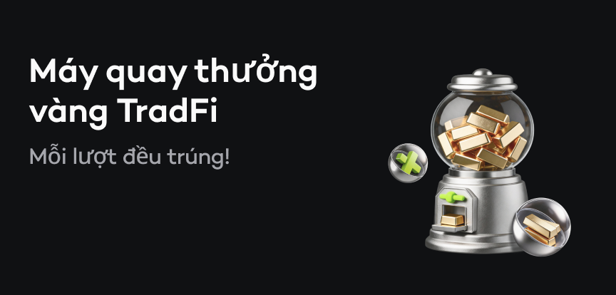 web banner vn.png