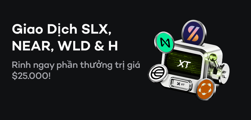 web banner VI.png