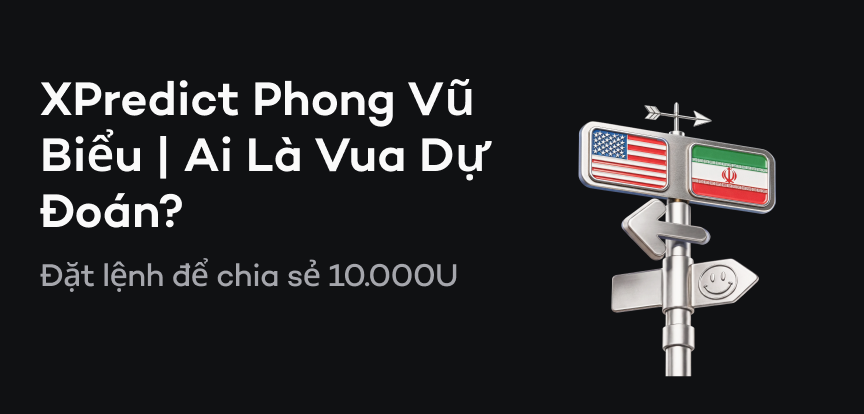 web banner vn.png
