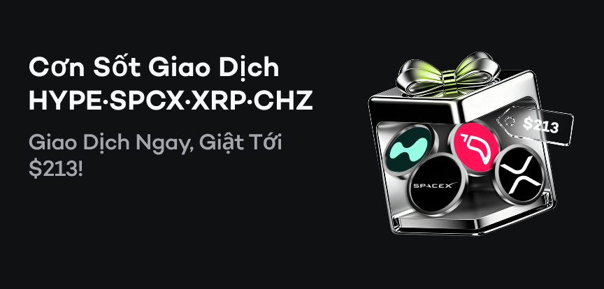 web banner VI.png