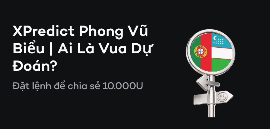 web banner vn.png