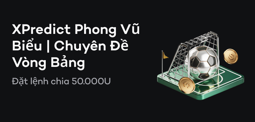 web banner vn.png