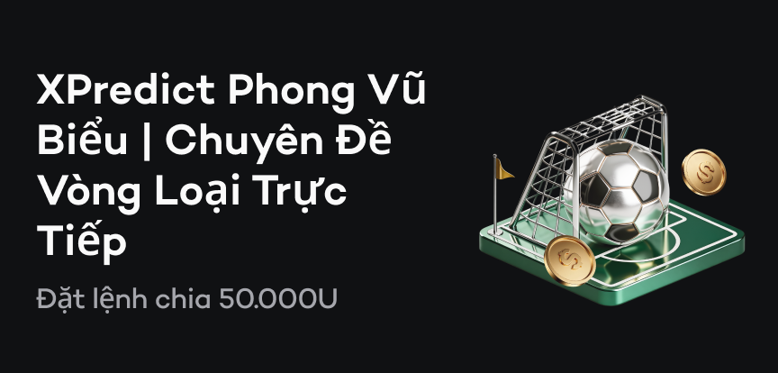 web banner vn.png