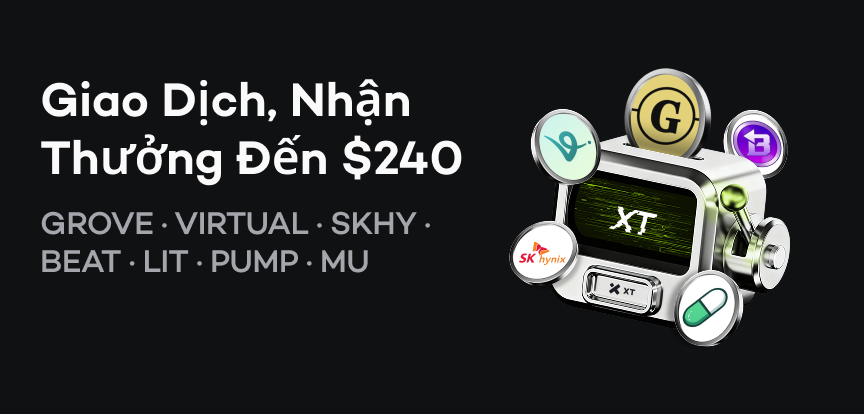 web banner VI.png