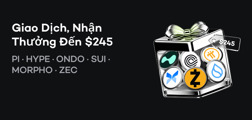 web banner VI.png