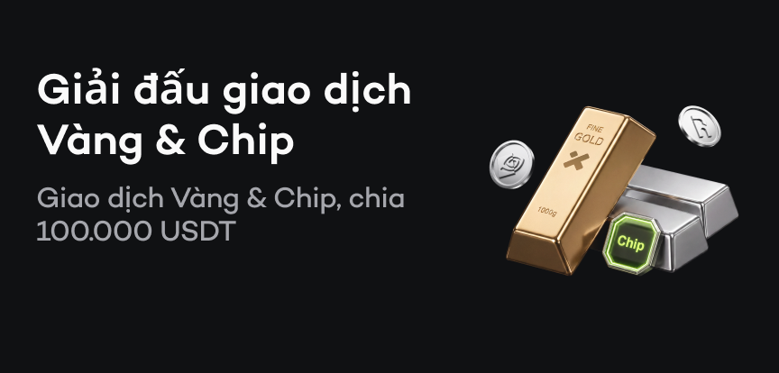 web banner vn.png