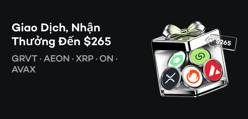 web banner VI.png