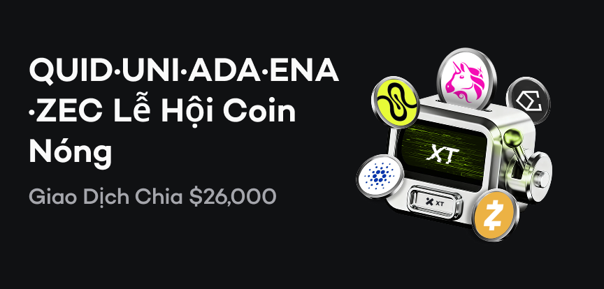 web banner VI.png