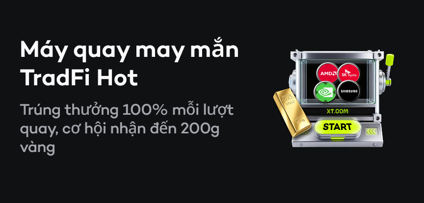 web banner vn.png