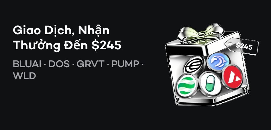 web banner VI.png