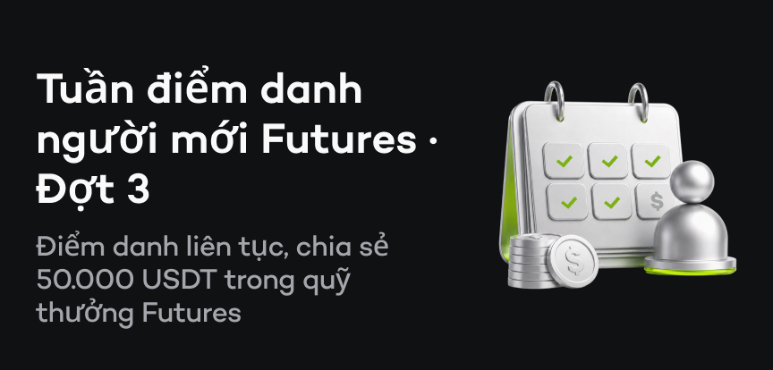 web banner vn.png