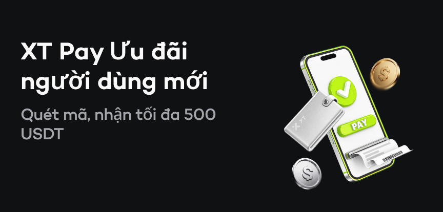 web banner vn.png