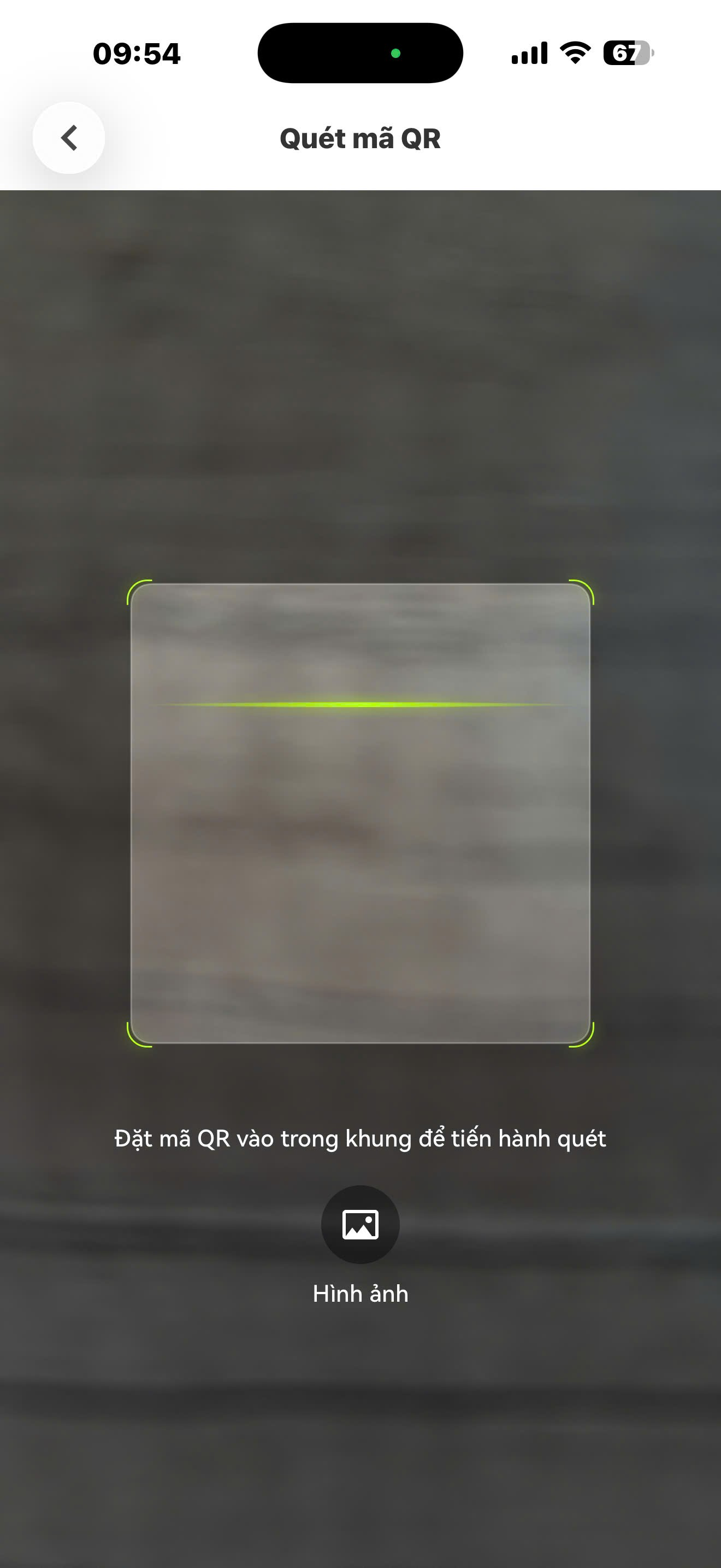 vn6.png
